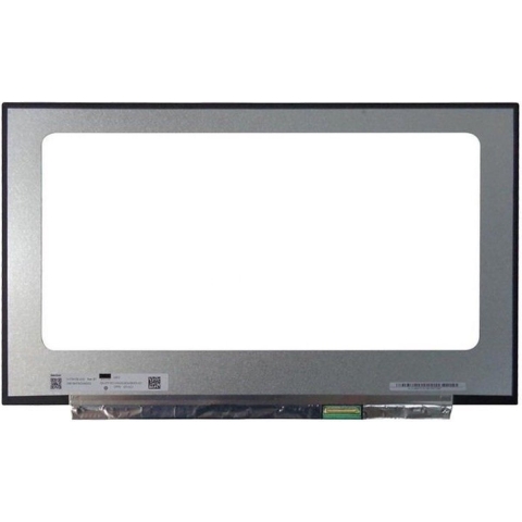 Laptop LCD Scherm 17,3" NE173FHM-NX1 V8.0