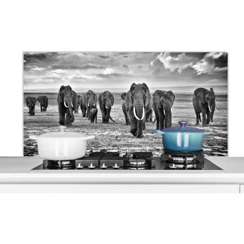 Spatscherm Keuken - Kookplaat Achterwand - Spatwand Fornuis - 120x60 cm - Olifant - Zwart - Wit - Savanne - Aluminium - Wanddecoratie - Muurbeschermer - Hittebestendig