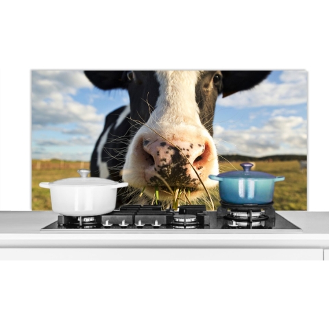 Spatscherm Keuken - Kookplaat Achterwand - Spatwand Fornuis - 120x60 cm - Koe - Licht - Gras - Aluminium - Wanddecoratie - Muurbeschermer - Hittebestendig