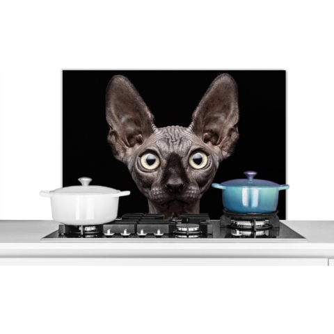 Spatscherm Keuken - Kookplaat Achterwand - Spatwand Fornuis - 90x60 cm - Kat - Huisdieren - Portret - Zwart - Aluminium - Wanddecoratie - Muurbeschermer - Hittebestendig