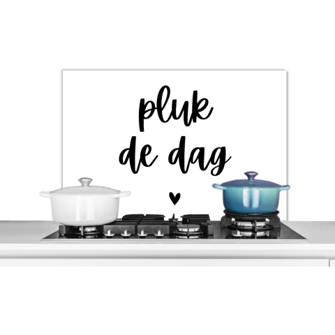Spatscherm Keuken - Kookplaat Achterwand - Spatwand Fornuis - 90x60 cm - Pluk de dag - Carpe diem - Quotes - Spreuken - Aluminium - Wanddecoratie - Muurbeschermer - Hittebestendig