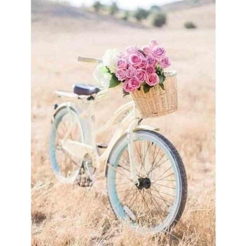 Diamond painting - Fiets met bloemen in een mand - Geproduceerd in Nederland - 60 x 90 cm - canvas materiaal - vierkante steentjes - Binnen 2-3 werkdagen in huis