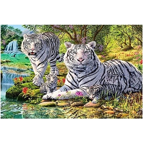 diamond painting opbergdoos - Diamond Painting Accessoires - Voor Diamant Schilderij Kralen, Zaden, Sieraden / Painting Volledige set, 5D Diamond Painting Foto's met Diamond Painting Accessoires