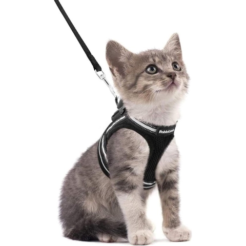 Kattentuig Lijnset Harnas voor katten Escape Proof Kattenriem Kitten Verstelbaar Zacht Kittenvest met reflecterende strips voor extra kleine kleine katten Kattentuig
