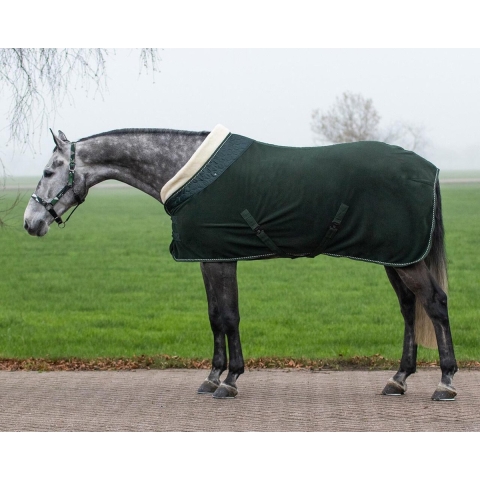 Qhp Zweetdeken Brilliance Groen - 145/195