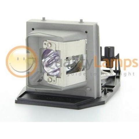 Optoma BL-FP280B / Optoma SP.88E01GC01, Acer EC.J6300.001 Projector Lamp (bevat originele P-VIP lamp)
