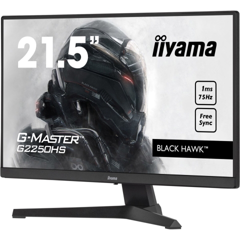 iiyama G-MASTER G2250HS-B1