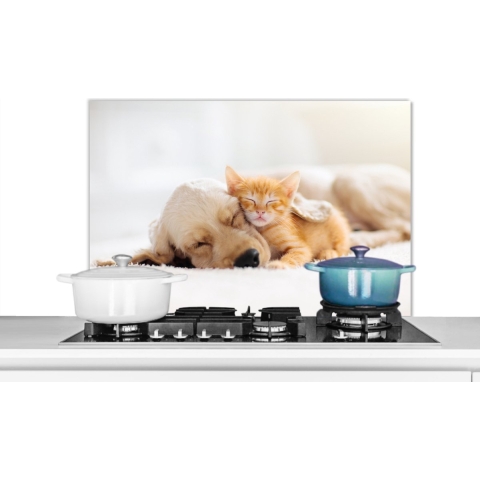 Spatscherm keuken - Kat - Hond - Poes - Kitten - Deken - Dieren - Muurbeschermer - 80x55 cm - Spatscherm kat - Spatscherm hond - Achterwand keuken - Spatwand - Keuken decoratie
