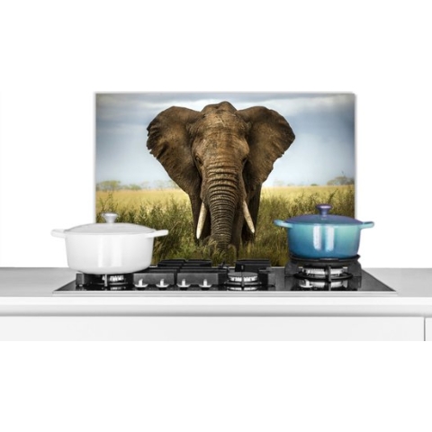 Spatscherm Keuken - Kookplaat Achterwand - Spatwand Fornuis - 70x50 cm - Olifant - Dieren - Gras - Aluminium - Wanddecoratie - Muurbeschermer - Hittebestendig