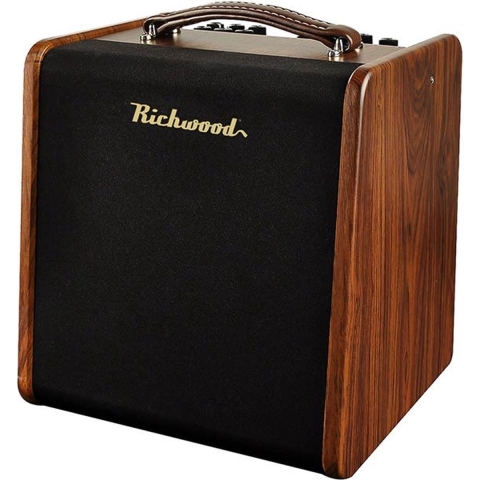 Richwood RPF-65 Performer 65 : 2 kanalen akoestische gitaar/mikrofoon versterker