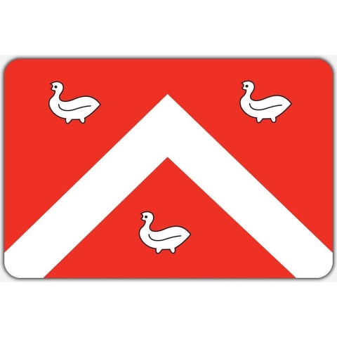 Vlag Ens - 200 x 300 cm - Polyester