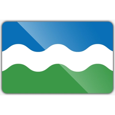 Vlag gemeente Nederweert - 200 x 300 cm - Polyester