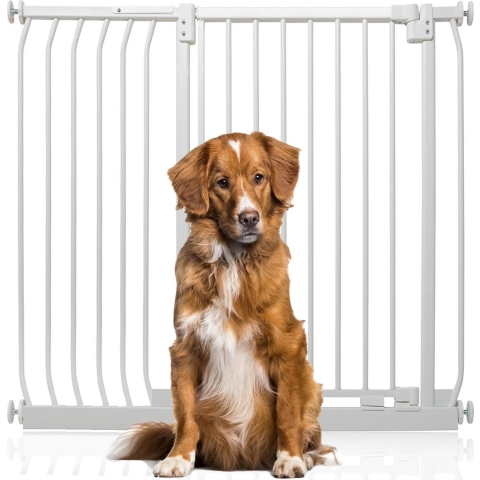Bettacare Extra Tall Elite Hondenhek Assortiment, 107cm - 116cm (23 opties beschikbaar), Mat Wit, Extra Hoog 100cm in Hoogte, Traphekje Zonder Boren Hek voor Honden en Puppy's, Huisdier en Hond Barrière, Eenvoudige Installatie
