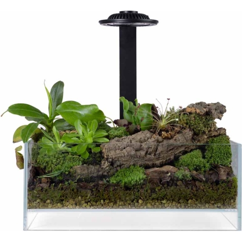 Wabi Kusa Bio Air Tank 20x20x8 Cm Incl. Led White