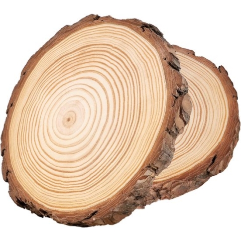 Houten schijven, 2 stuks, houten log schijven, 18-20 cm, rond, natuurlijk hout, boomschijven, ca. 20 mm dik, voor doe-het-zelf handwerk, houten schijven, bruiloft, middenstuk, kerstdecoratie,