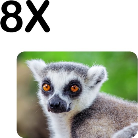 BWK Luxe Placemat - Ringstaart Maki - Set van 8 Placemats - 40x30 cm - 2 mm dik Vinyl - Anti Slip - Afneembaar