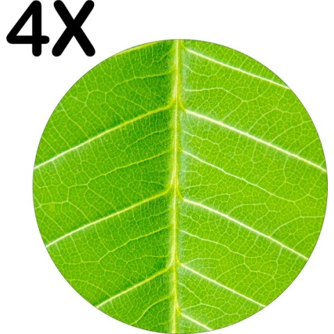 BWK Luxe Ronde Placemat - Close-Up Groen Blad - Plant - Set van 4 Placemats - 40x40 cm - 2 mm dik Vinyl - Anti Slip - Afneembaar