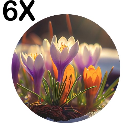 BWK Luxe Ronde Placemat - De Eerste Krokus Bloemen van het Seizoen - Set van 6 Placemats - 50x50 cm - 2 mm dik Vinyl - Anti Slip - Afneembaar