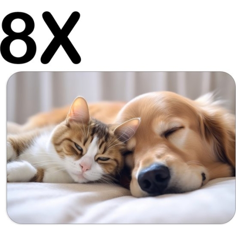 BWK Stevige Placemat - Schattige Hond en Kat - Poes - Set van 8 Placemats - 45x30 cm - 1 mm dik Polystyreen - Afneembaar