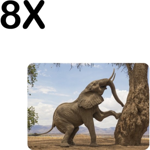 BWK Luxe Placemat - Olifant Klimt in een Boom - Set van 8 Placemats - 35x25 cm - 2 mm dik Vinyl - Anti Slip - Afneembaar
