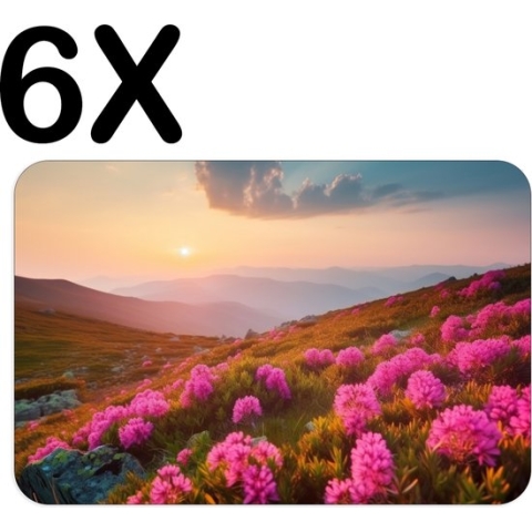 BWK Stevige Placemat - Roze Bloemen op een Berg bij Zonsondergang - Set van 6 Placemats - 45x30 cm - 1 mm dik Polystyreen - Afneembaar