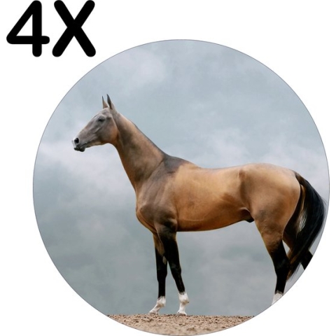 BWK Luxe Ronde Placemat - Bruin Paard - Dier - Grijze Achtergrond - Set van 4 Placemats - 50x50 cm - 2 mm dik Vinyl - Anti Slip - Afneembaar