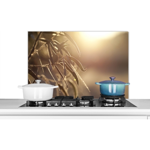 Spatscherm Keuken - Kookplaat Achterwand - Spatwand Fornuis - 90x60 cm - Eucalyptusbladeren in de ochtendgloren - Aluminium - Wanddecoratie - Muurbeschermer - Hittebestendig