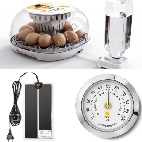 Automatische broedmachine - inclusief hygrometer en 15x18cm warmtemat - van 12 kippeneieren tot 60 kwarteleieren - keert de eieren automatisch - broedmachine geschikt voor beginners