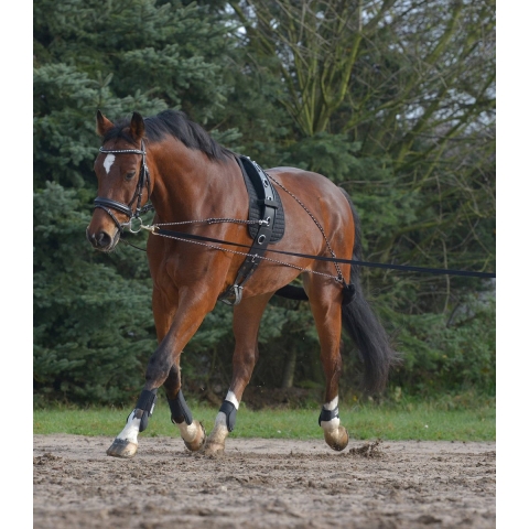 Lunging System
