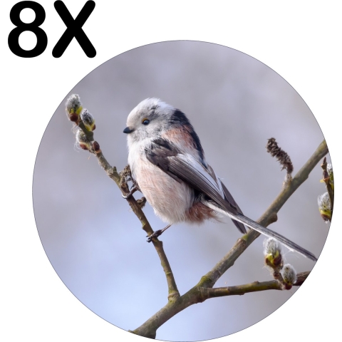 BWK Flexibele Ronde Placemat - Wit met Zwart Vogeltje in de Boom - Set van 8 Placemats - 40x40 cm - PVC Doek - Afneembaar