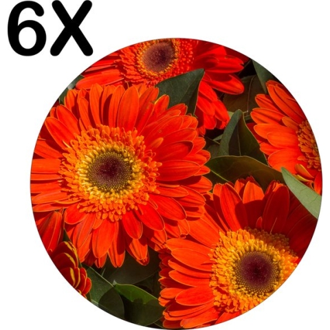 BWK Flexibele Ronde Placemat - Rode Kleurrijke Bloemen in de Natuur - Set van 6 Placemats - 40x40 cm - PVC Doek - Afneembaar