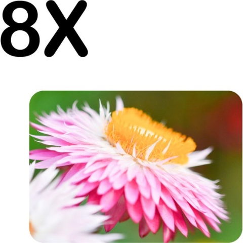 BWK Luxe Placemat - Roze met Gele Bloem in de Natuur - Set van 8 Placemats - 40x30 cm - 2 mm dik Vinyl - Anti Slip - Afneembaar