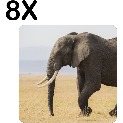 BWK Flexibele Placemat - Lopende Olifant in het Wild - Set van 8 Placemats - 40x40 cm - PVC Doek - Afneembaar