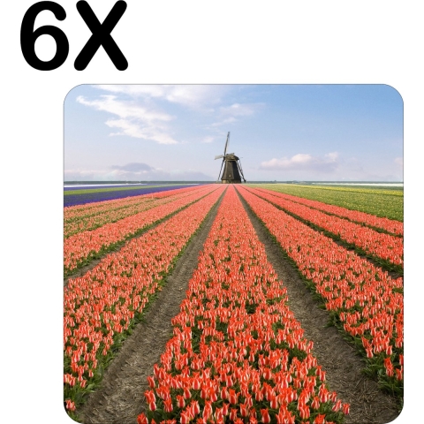 BWK Stevige Placemat - Tulpenveld met Molen in de Verte - Set van 6 Placemats - 50x50 cm - 1 mm dik Polystyreen - Afneembaar