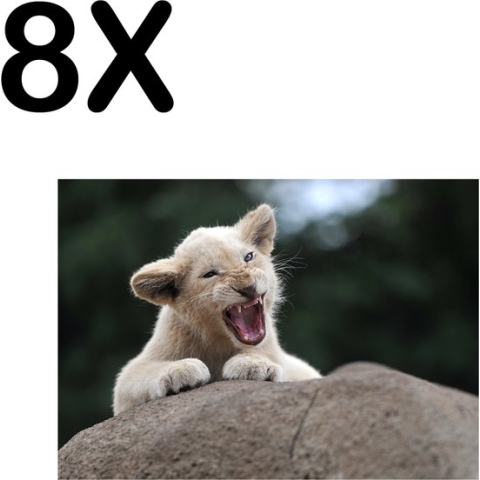 BWK Textiele Placemat - Brullende Leeuw op een Steen - Set van 8 Placemats - 40x30 cm - Polyester Stof - Afneembaar