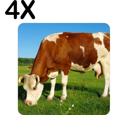 BWK Stevige Placemat - Bruin met Witte Koe Grazend in het Gras - Set van 4 Placemats - 50x50 cm - 1 mm dik Polystyreen - Afneembaar