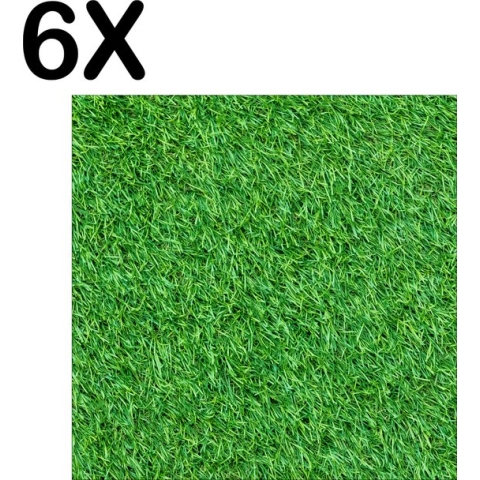 BWK Textiele Placemat - Groen - Gras - Achtergrond - Set van 6 Placemats - 50x50 cm - Polyester Stof - Afneembaar