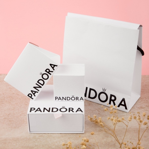 Pandora Moments armband - 19 cm.