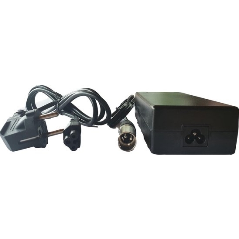 Sparta ION lader bananenaccu oplader ebike padova batavus kromme frame accu batterij e-bike