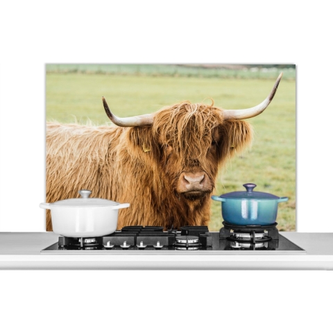 Spatscherm Keuken - Kookplaat Achterwand - Spatwand Fornuis - 100x65 cm - Schotse hooglander - Hoorn - Gras - Aluminium - Wanddecoratie - Muurbeschermer - Hittebestendig