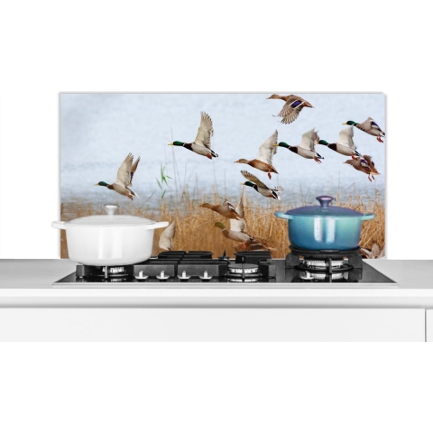 Spatscherm Keuken - Kookplaat Achterwand - Spatwand Fornuis - 100x50 cm - Eend - Vogel - Riet - Water - Eenden - Aluminium - Wanddecoratie - Muurbeschermer - Hittebestendig