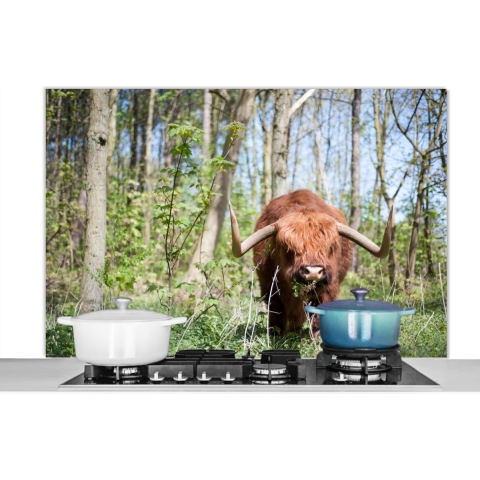 Spatscherm Keuken - Kookplaat Achterwand - Spatwand Fornuis - 120x80 cm - Schotse Hooglander - Bos - Schotse Koe - Aluminium - Wanddecoratie - Muurbeschermer - Hittebestendig