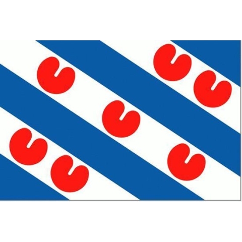 Friese vlag 150x225cm