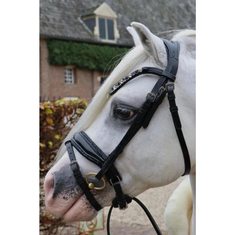 Hb Hoofdstel Showtime Special A-pony Black-blue - pony