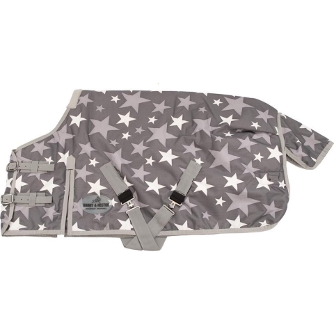 1420 Harry and Hector winter deken Silver Stars - 145 cm