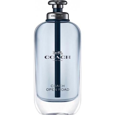 COACH OPEN ROAD EDT 100ML