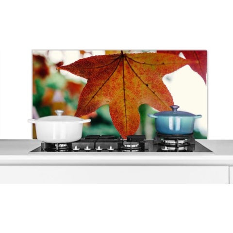 Spatscherm Keuken - Kookplaat Achterwand - Spatwand Fornuis - 100x50 cm - Herfst - Landelijk - Bladeren - Seizoenen - Landelijk - Aluminium - Wanddecoratie - Muurbeschermer - Hittebestendig