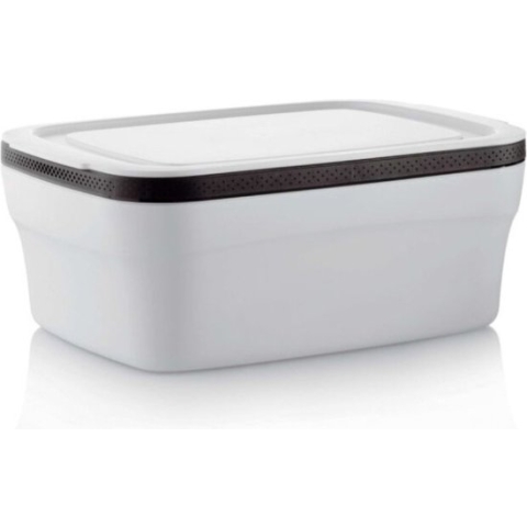 Tupperware BreadSmart Large - Grote vershoudbak voor gebak & brood - BPA-vrij - Gebakken producten blijven langer vers - minder afval