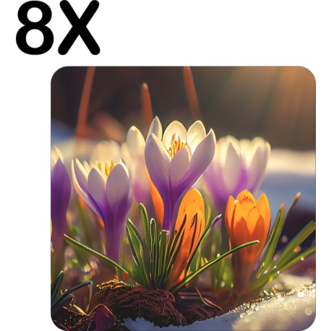 BWK Flexibele Placemat - De Eerste Krokus Bloemen van het Seizoen - Set van 8 Placemats - 50x50 cm - PVC Doek - Afneembaar