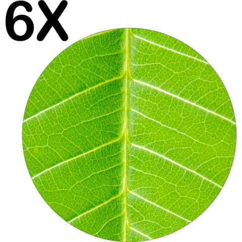 BWK Luxe Ronde Placemat - Close-Up Groen Blad - Plant - Set van 6 Placemats - 50x50 cm - 2 mm dik Vinyl - Anti Slip - Afneembaar